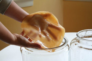 kombucha